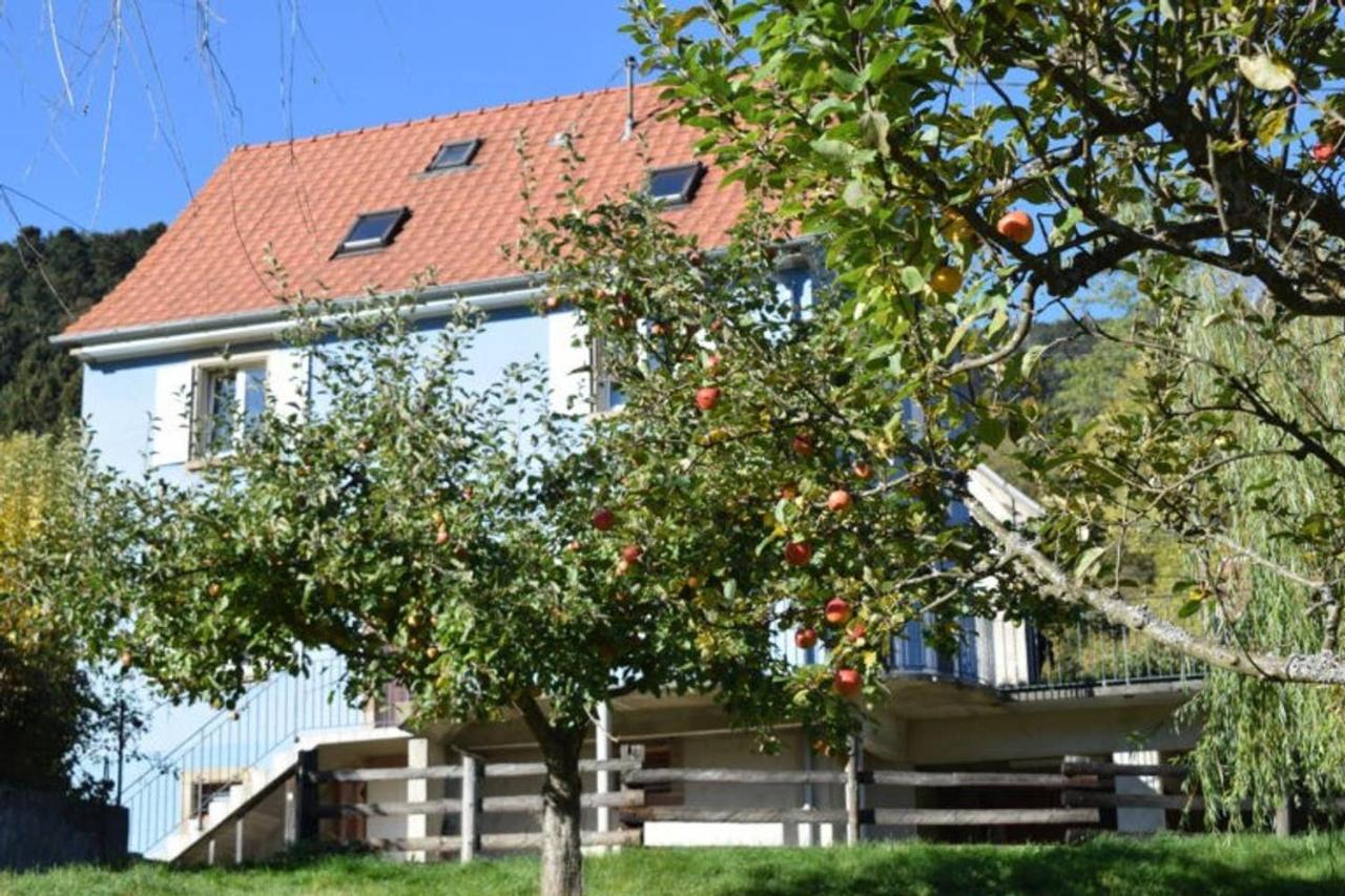Les Locations De Stephanie ,Gite Le Verger Sondernach Exterior photo