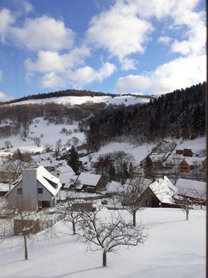 Les Locations De Stephanie ,Gite Le Verger Sondernach Exterior photo