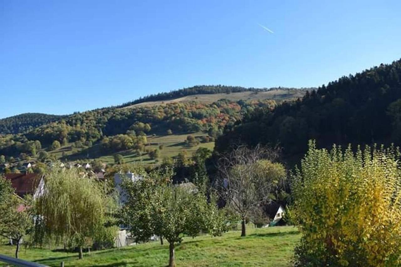Les Locations De Stephanie ,Gite Le Verger Sondernach Exterior photo