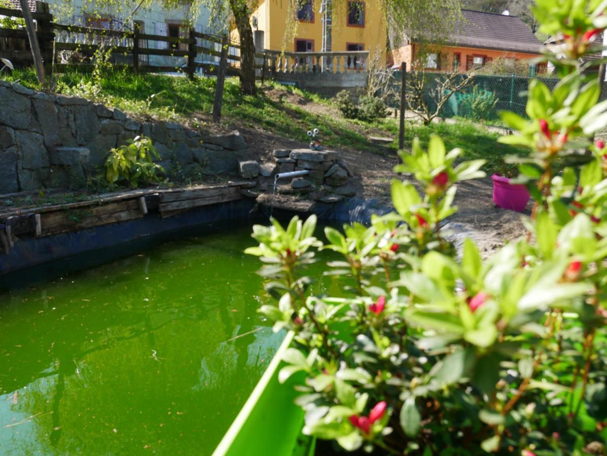 Les Locations De Stephanie ,Gite Le Verger Sondernach Exterior photo
