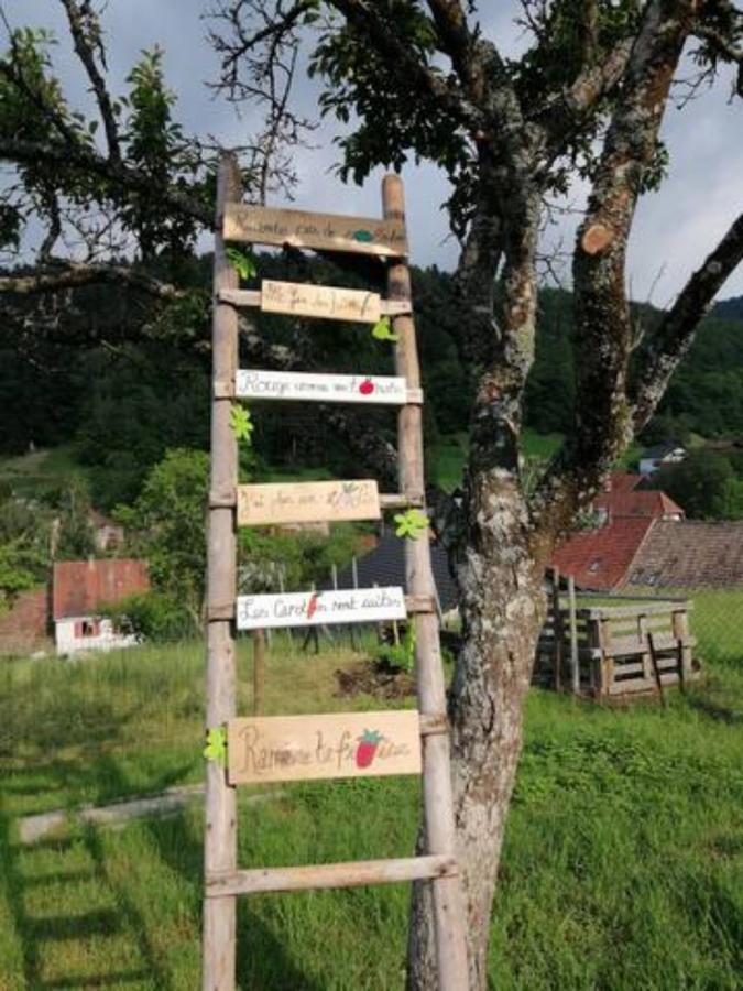 Les Locations De Stephanie ,Gite Le Verger Sondernach Exterior photo